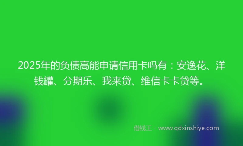 2025年的负债高能申请信用卡吗有：安逸花、洋钱罐、分期乐、我来贷、维信卡卡贷等。
