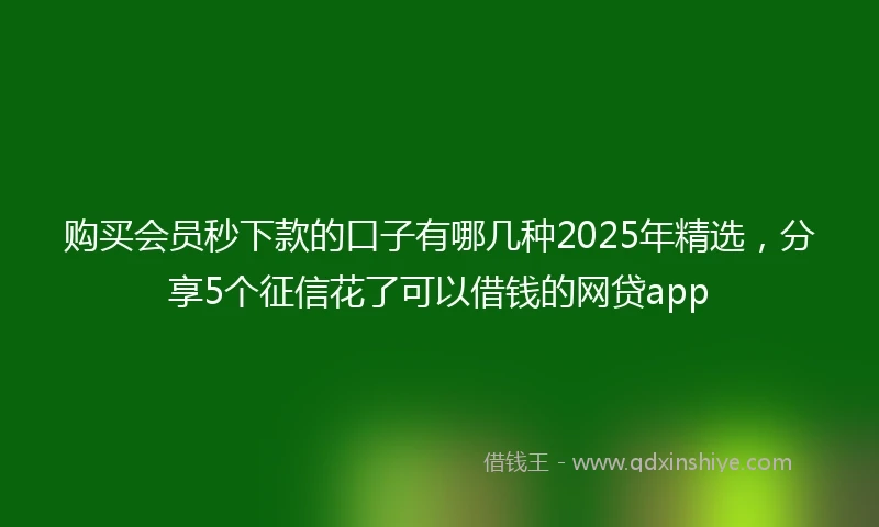 购买会员秒下款的口子有哪几种2025年精选，分享5个征信花了可以借钱的网贷app
