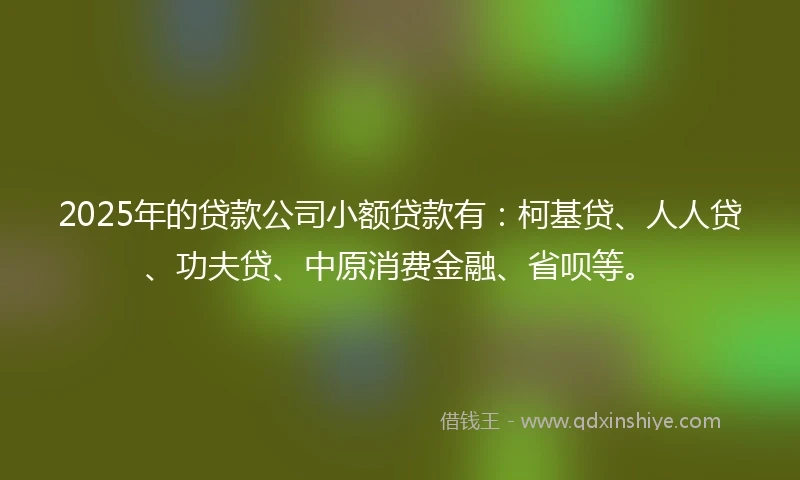 2025年的贷款公司小额贷款有：柯基贷、人人贷、功夫贷、中原消费金融、省呗等。