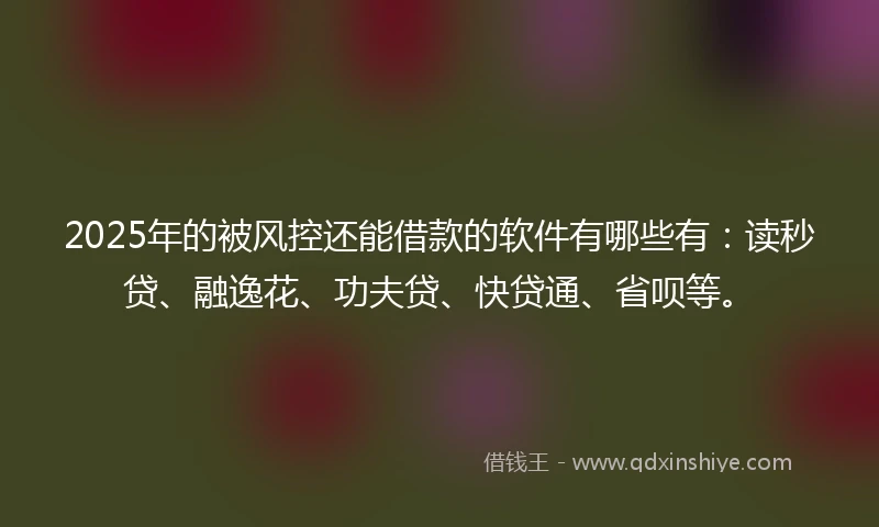 2025年的被风控还能借款的软件有哪些有：读秒贷、融逸花、功夫贷、快贷通、省呗等。