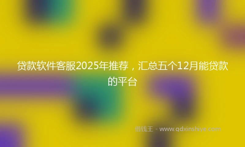 贷款软件客服2025年推荐，汇总五个12月能贷款的平台