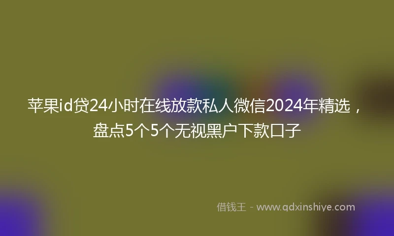 苹果id贷24小时在线放款私人微信2024年精选，盘点5个5个无视黑户下款口子
