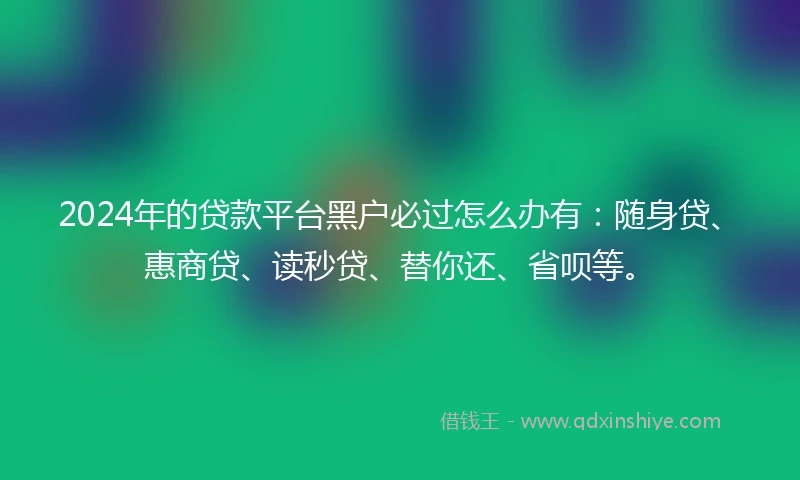 2024年的贷款平台黑户必过怎么办有：随身贷、惠商贷、读秒贷、替你还、省呗等。