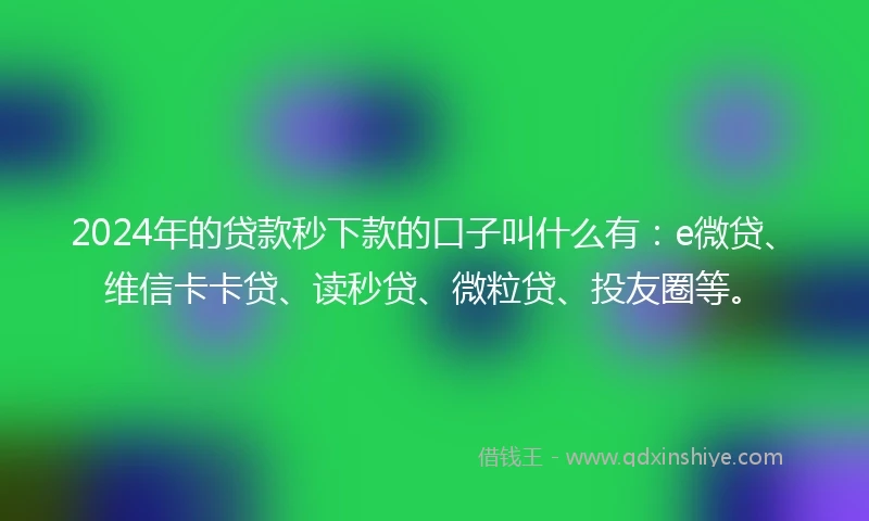 2024年的贷款秒下款的口子叫什么有：e微贷、维信卡卡贷、读秒贷、微粒贷、投友圈等。