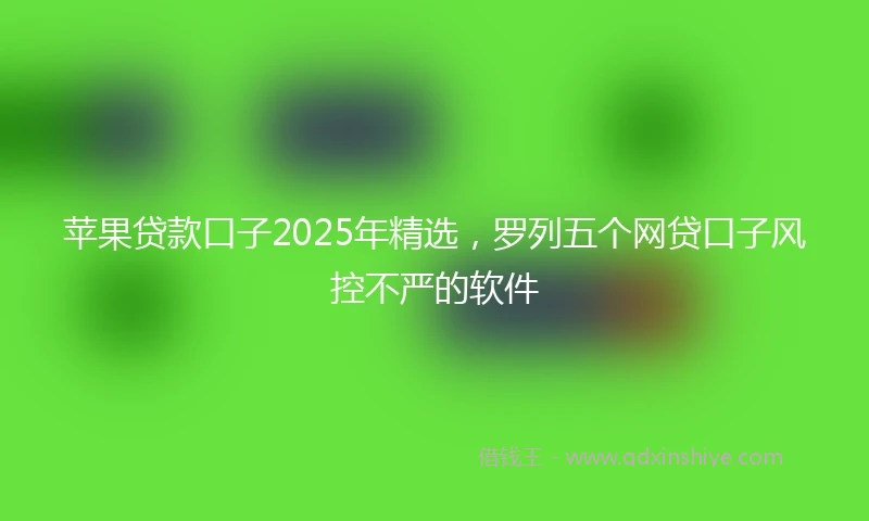 苹果贷款口子2025年精选，罗列五个网贷口子风控不严的软件