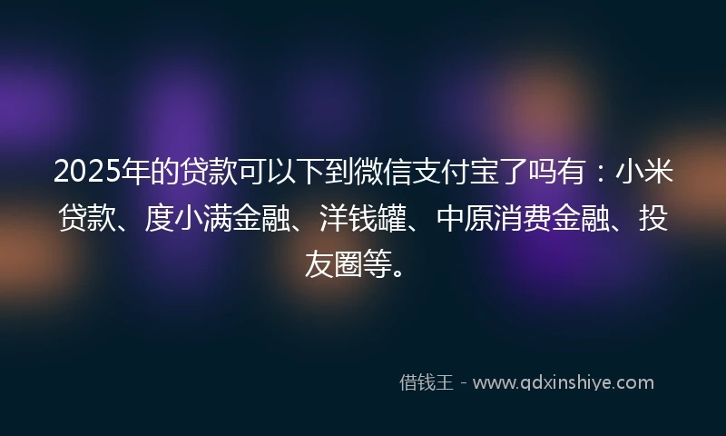2025年的贷款可以下到微信支付宝了吗有：小米贷款、度小满金融、洋钱罐、中原消费金融、投友圈等。
