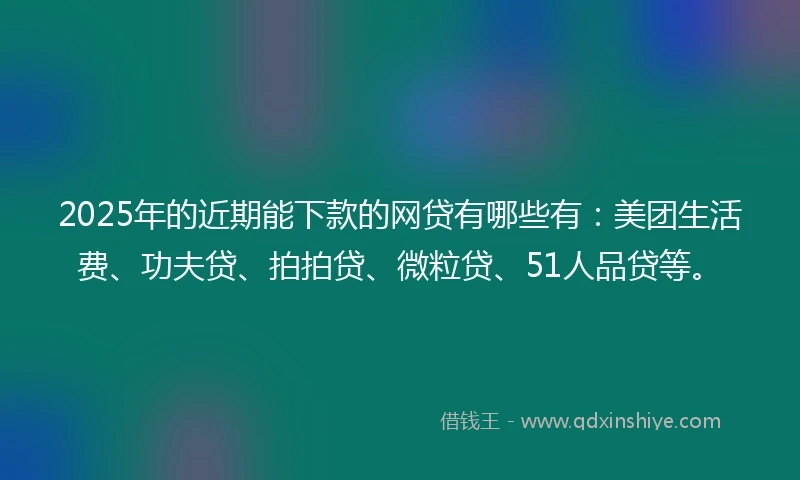 2025年的近期能下款的网贷有哪些有：美团生活费、功夫贷、拍拍贷、微粒贷、51人品贷等。