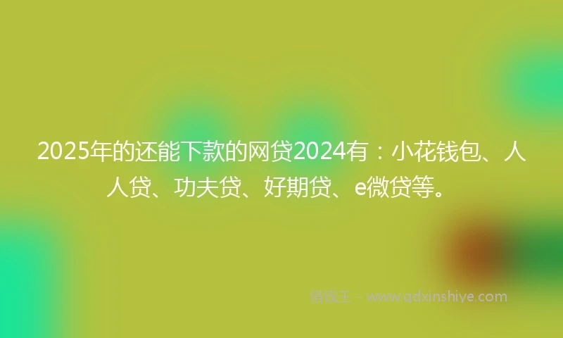 2025年的还能下款的网贷2024有：小花钱包、人人贷、功夫贷、好期贷、e微贷等。