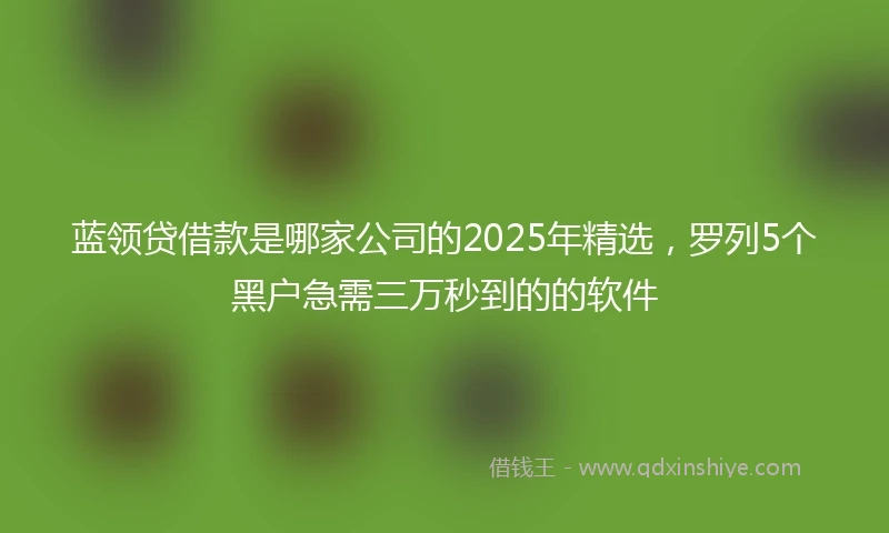 蓝领贷借款是哪家公司的2025年精选，罗列5个黑户急需三万秒到的的软件