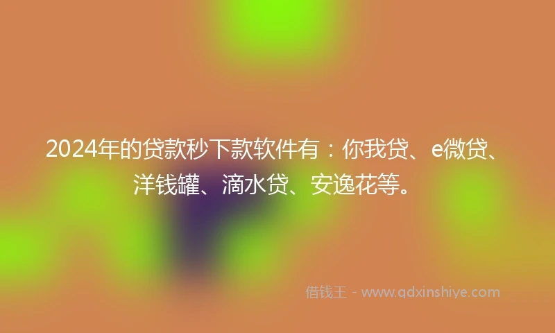 2024年的贷款秒下款软件有：你我贷、e微贷、洋钱罐、滴水贷、安逸花等。