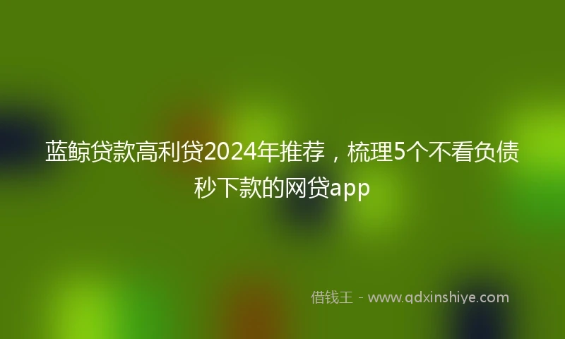 蓝鲸贷款高利贷2024年推荐，梳理5个不看负债秒下款的网贷app