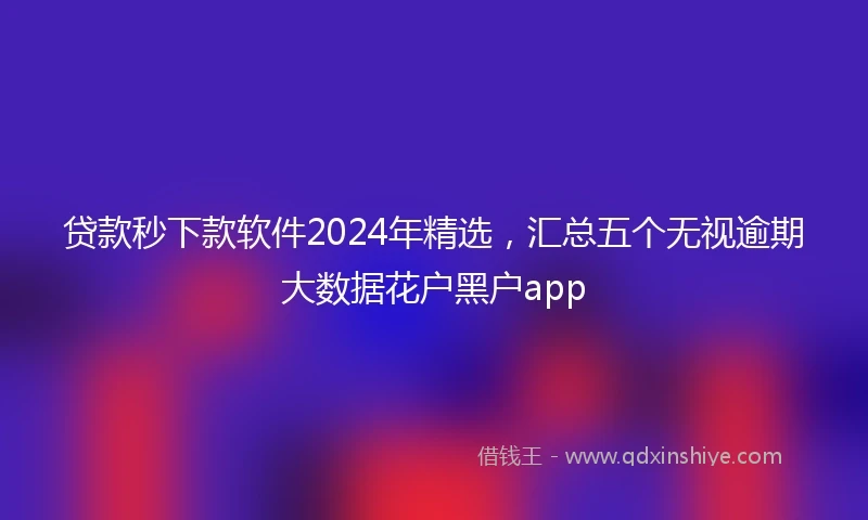贷款秒下款软件2024年精选，汇总五个无视逾期大数据花户黑户app