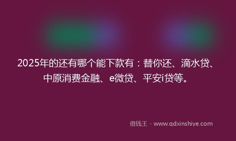 2025年的还有哪个能下款有：替你还、滴水贷、中原消费金融、e微贷、平安i贷等。