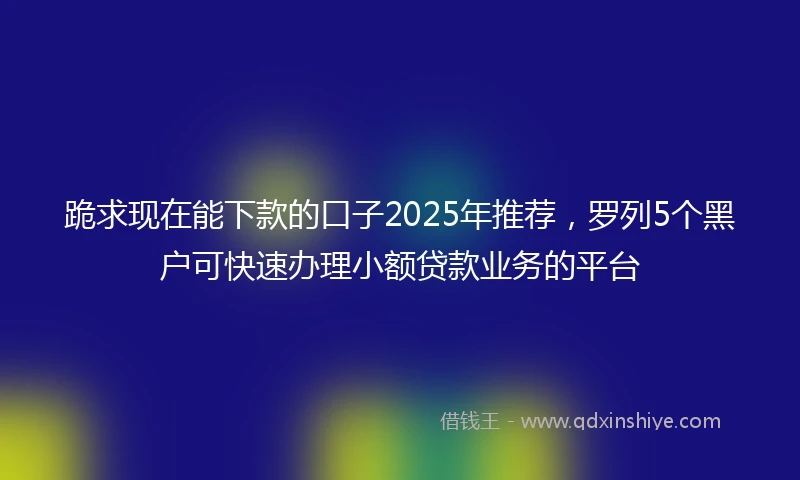 跪求现在能下款的口子2025年推荐，罗列5个黑户可快速办理小额贷款业务的平台