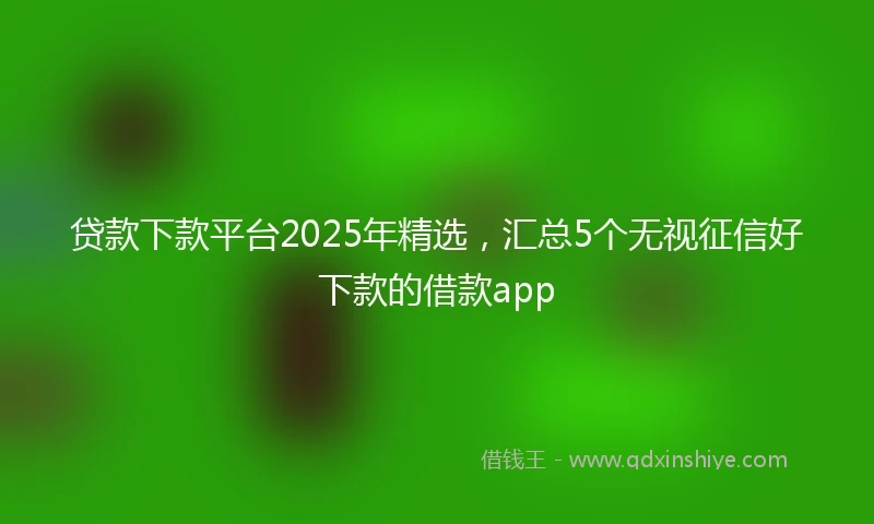 贷款下款平台2025年精选，汇总5个无视征信好下款的借款app