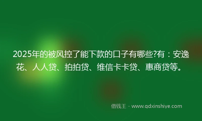 2025年的被风控了能下款的口子有哪些?有：安逸花、人人贷、拍拍贷、维信卡卡贷、惠商贷等。