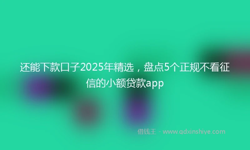 还能下款口子2025年精选，盘点5个正规不看征信的小额贷款app