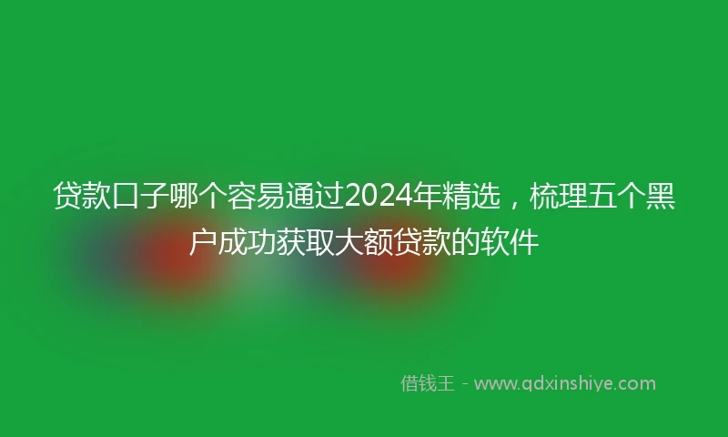 贷款口子哪个容易通过2024年精选，梳理五个黑户成功获取大额贷款的软件