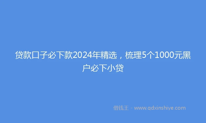 贷款口子必下款2024年精选，梳理5个1000元黑户必下小贷