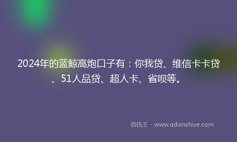 2024年的蓝鲸高炮口子有：你我贷、维信卡卡贷、51人品贷、超人卡、省呗等。