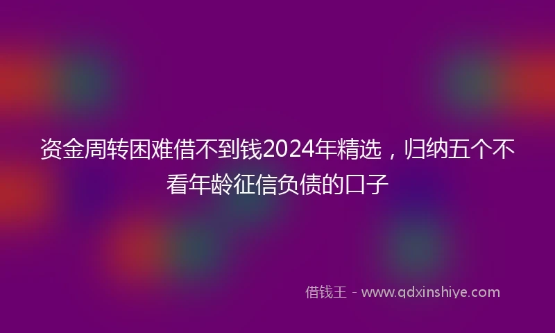 资金周转困难借不到钱2024年精选，归纳五个不看年龄征信负债的口子