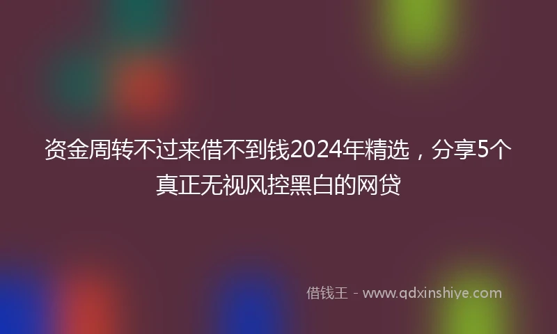 资金周转不过来借不到钱2024年精选，分享5个真正无视风控黑白的网贷