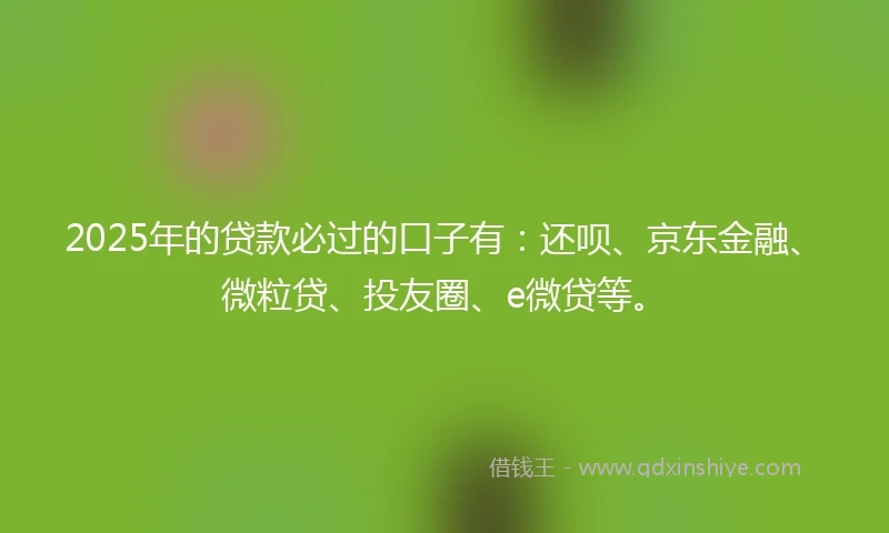 2025年的贷款必过的口子有：还呗、京东金融、微粒贷、投友圈、e微贷等。
