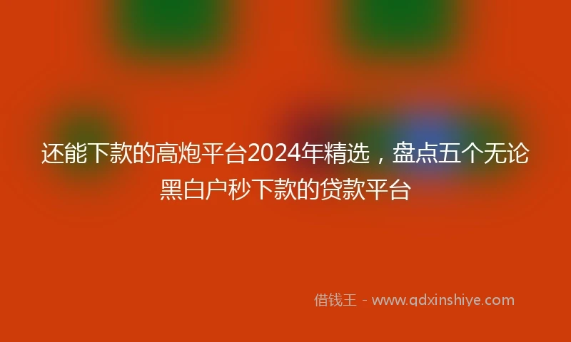 还能下款的高炮平台2024年精选，盘点五个无论黑白户秒下款的贷款平台