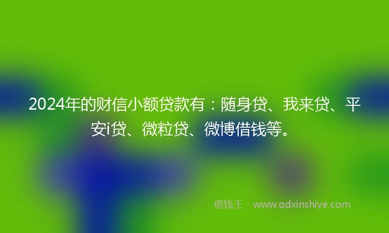 2024年的财信小额贷款有：随身贷、我来贷、平安i贷、微粒贷、微博借钱等。