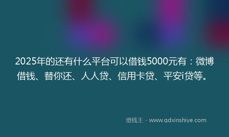 2025年的还有什么平台可以借钱5000元有：微博借钱、替你还、人人贷、信用卡贷、平安i贷等。