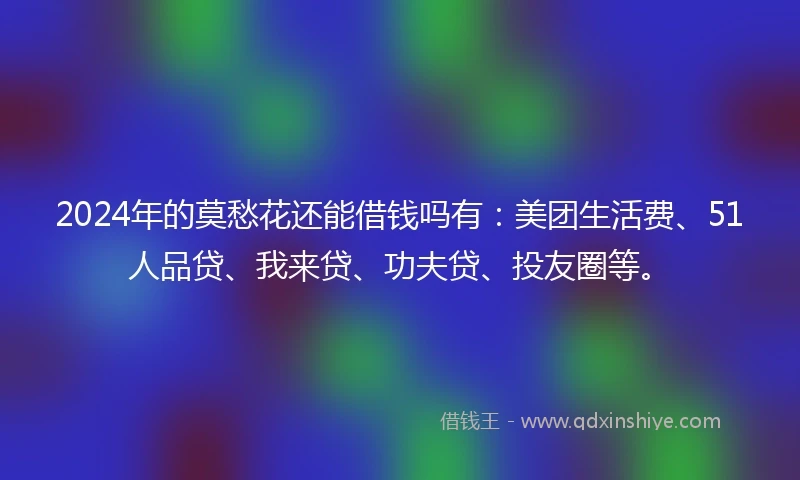 2024年的莫愁花还能借钱吗有：美团生活费、51人品贷、我来贷、功夫贷、投友圈等。