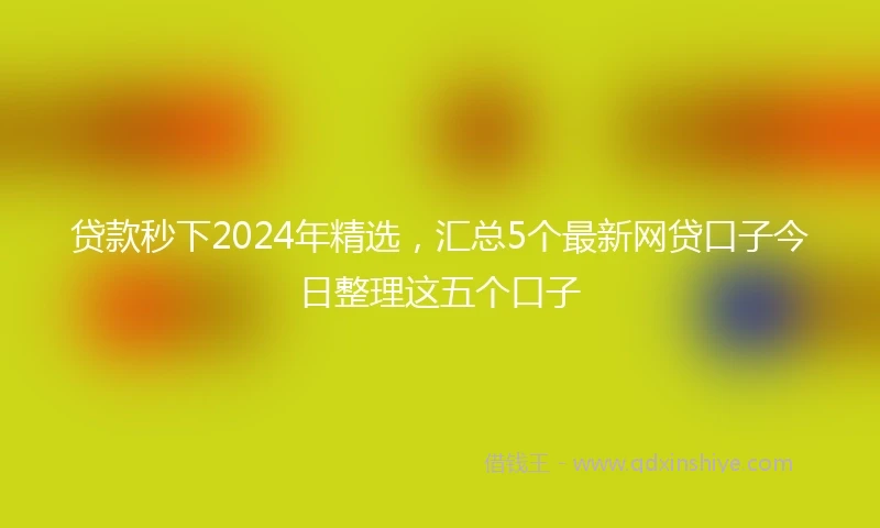 贷款秒下2024年精选，汇总5个最新网贷口子今日整理这五个口子