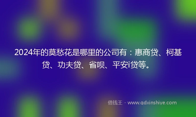 2024年的莫愁花是哪里的公司有：惠商贷、柯基贷、功夫贷、省呗、平安i贷等。