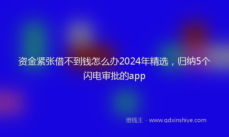 资金紧张借不到钱怎么办2024年精选，归纳5个闪电审批的app
