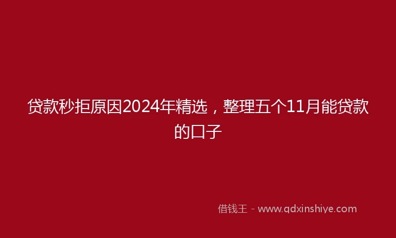 贷款秒拒原因2024年精选，整理五个11月能贷款的口子