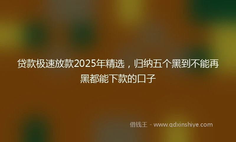 贷款极速放款2025年精选，归纳五个黑到不能再黑都能下款的口子