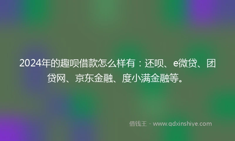 2024年的趣呗借款怎么样有:还呗、e微贷、团贷网、京东金融、度小满金融等。