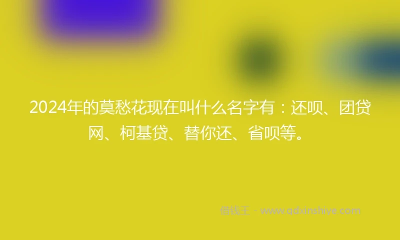 2024年的莫愁花现在叫什么名字有：还呗、团贷网、柯基贷、替你还、省呗等。