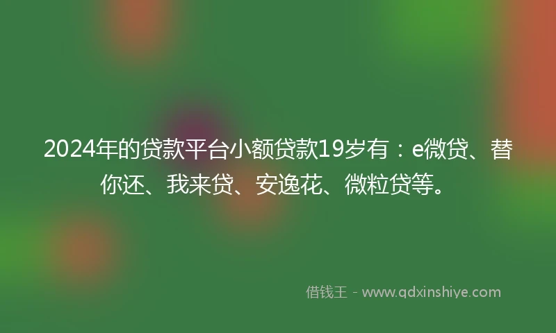 2024年的贷款平台小额贷款19岁有：e微贷、替你还、我来贷、安逸花、微粒贷等。