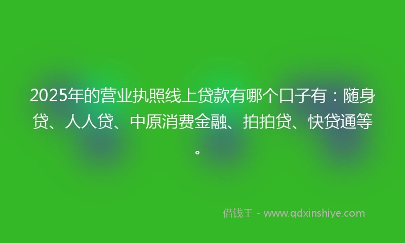 2025年的营业执照线上贷款有哪个口子有：随身贷、人人贷、中原消费金融、拍拍贷、快贷通等。