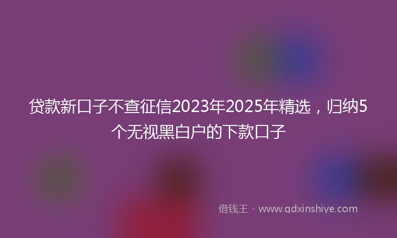 贷款新口子不查征信2023年2025年精选，归纳5个无视黑白户的下款口子