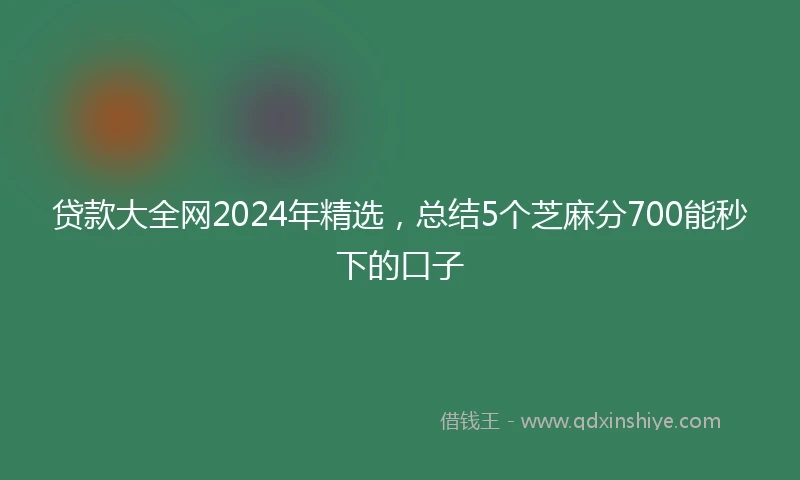 贷款大全网2024年精选，总结5个芝麻分700能秒下的口子