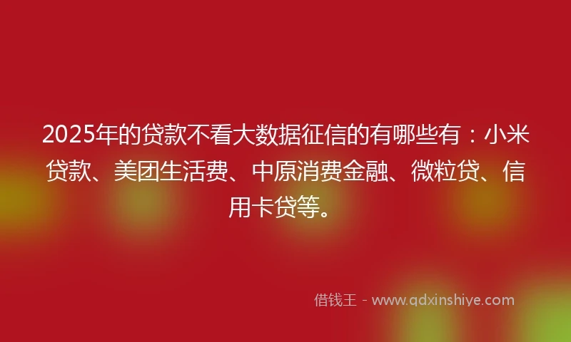 2025年的贷款不看大数据征信的有哪些有：小米贷款、美团生活费、中原消费金融、微粒贷、信用卡贷等。