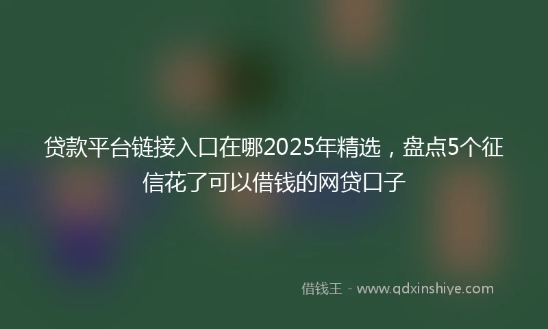 贷款平台链接入口在哪2025年精选，盘点5个征信花了可以借钱的网贷口子