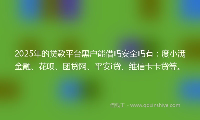 2025年的贷款平台黑户能借吗安全吗有：度小满金融、花呗、团贷网、平安i贷、维信卡卡贷等。