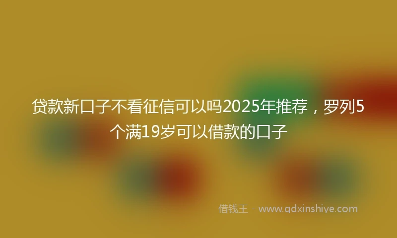 贷款新口子不看征信可以吗2025年推荐，罗列5个满19岁可以借款的口子