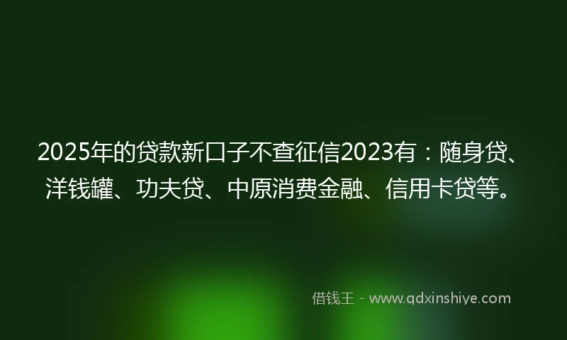 2025年的贷款新口子不查征信2023有：随身贷、洋钱罐、功夫贷、中原消费金融、信用卡贷等。