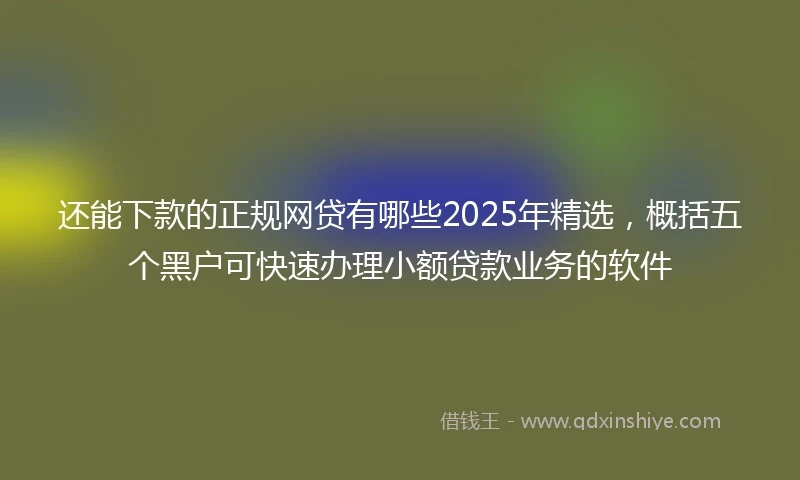 还能下款的正规网贷有哪些2025年精选，概括五个黑户可快速办理小额贷款业务的软件