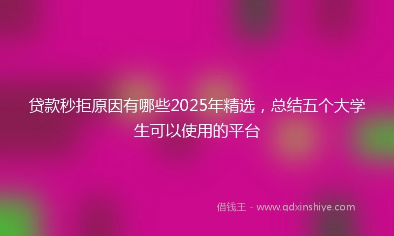 贷款秒拒原因有哪些2025年精选，总结五个大学生可以使用的平台