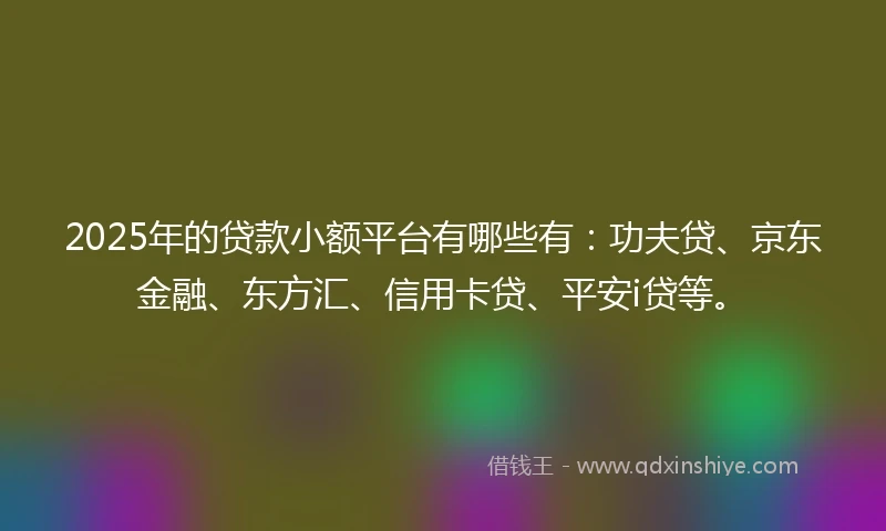 2025年的贷款小额平台有哪些有：功夫贷、京东金融、东方汇、信用卡贷、平安i贷等。